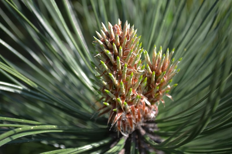 Time-Saving Appliances